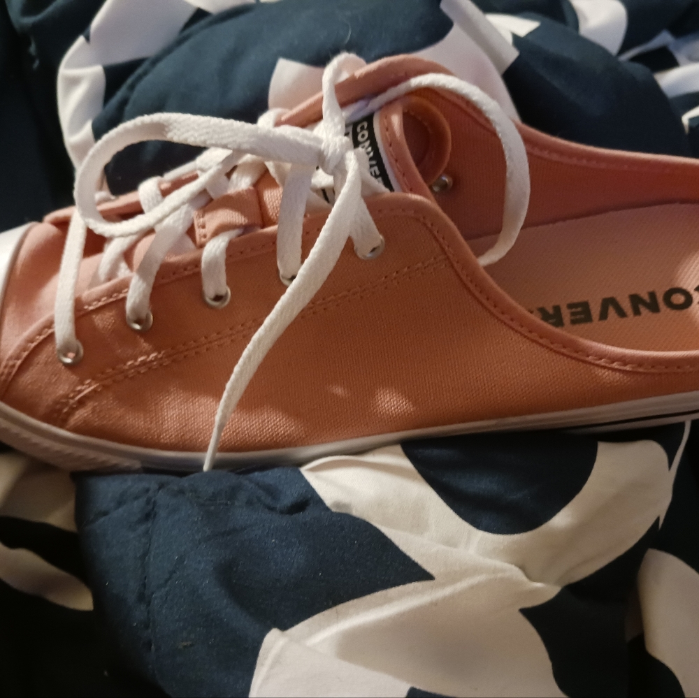 Converse slip on